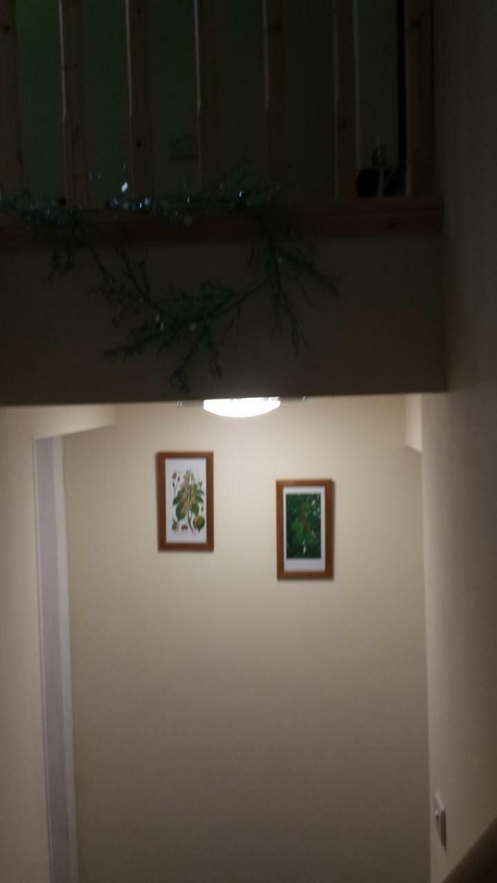 The Saracens Head The Conkera Apartment Chapel Saint Leonards Bagian luar foto